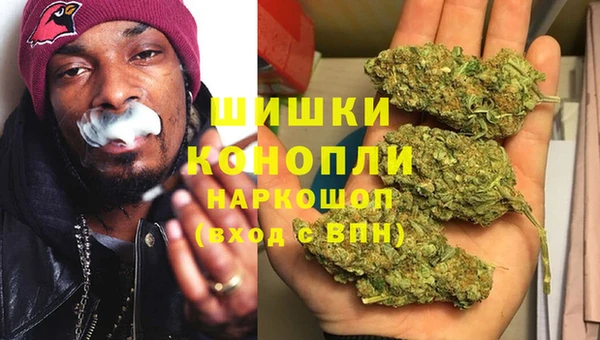a pvp Аркадак
