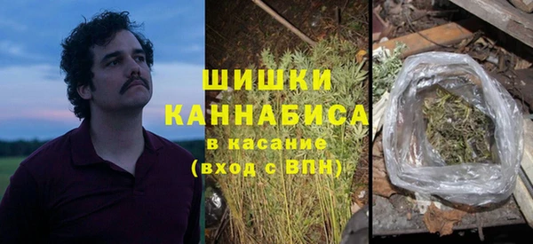 a pvp Аркадак