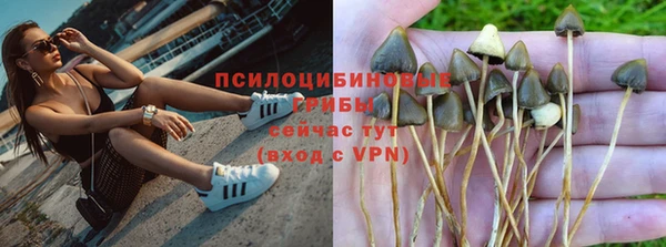 a pvp Аркадак