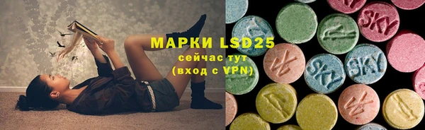 a pvp Аркадак